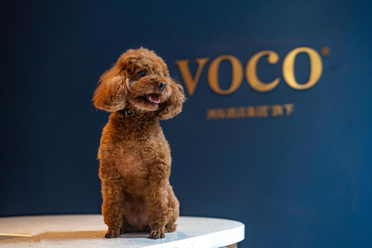 Voco Nanjing Garden Expo, An Ihg Hotel Εξωτερικό φωτογραφία